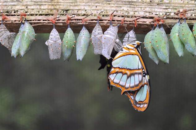 The CIO reborn