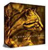 Review: EnCase Forensic