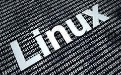 Up and running with Linux's most useful commands