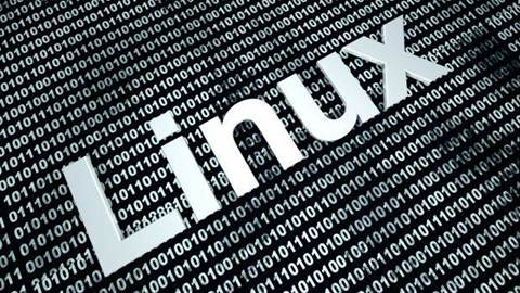 Up and running with Linux's most useful commands
