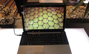 Photos: Toshiba's 2013 laptops