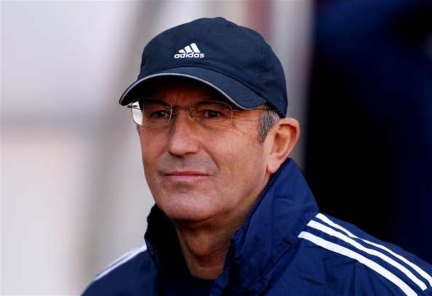 Owen Still In Pulis' Sights Owen Still In Pulis' Sights