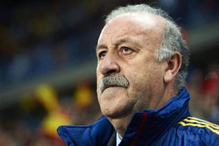 Del Bosque Hopeful On Villa's Euro Chances Del Bosque Hopeful On Villa's Euro Chances