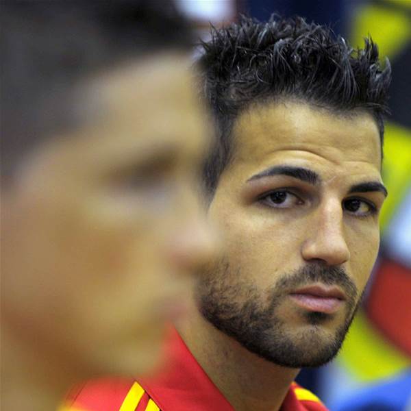 Fabregas Focused on World Cup Fabregas Focused on World Cup