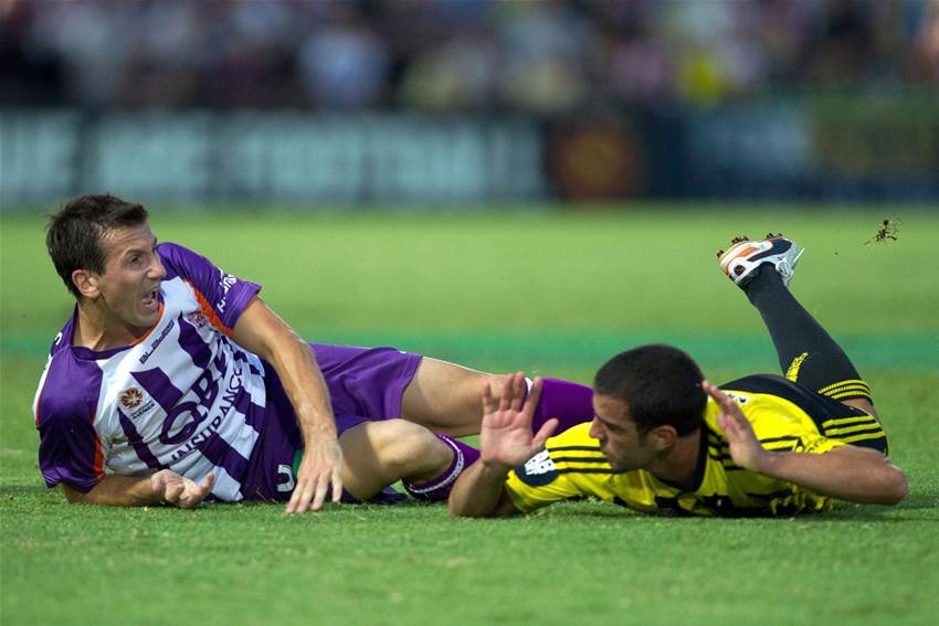 Herbert Full Of Pride Herbert Full Of Pride