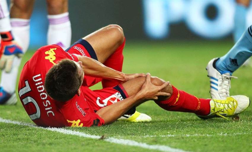Vidosic Ruled Out Of Roos Return Vidosic Ruled Out Of Roos Return