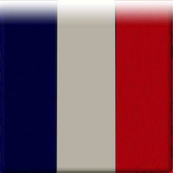 France Boss Pleased With Gritty Win France Boss Pleased With Gritty Win