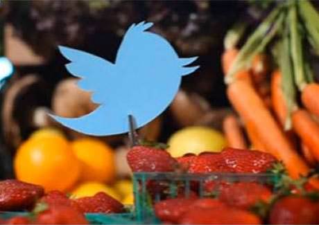 Software glitch temporarily crashes Twitter