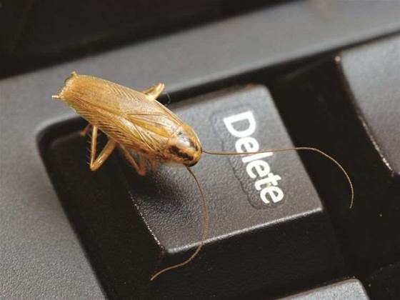 Get bug hunting: Mozilla extends bounty to apps