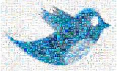 Network intel tool outs tweeting spooks