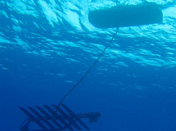 Java founder leaves Google for deep blue