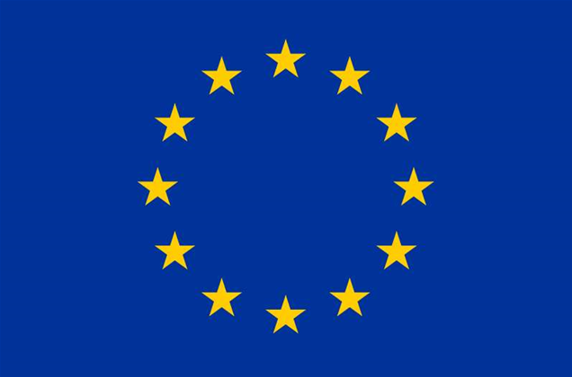 EU backs Google privacy policy 'pause'