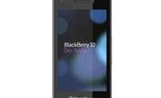 Government agencies cold on BlackBerry