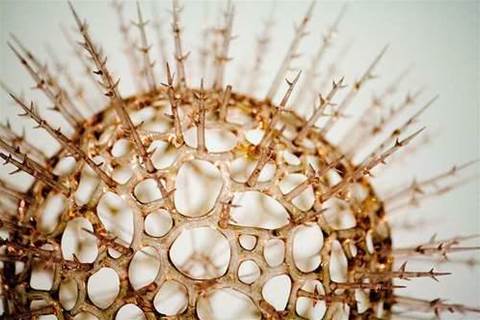 First drive-by Android malware detected