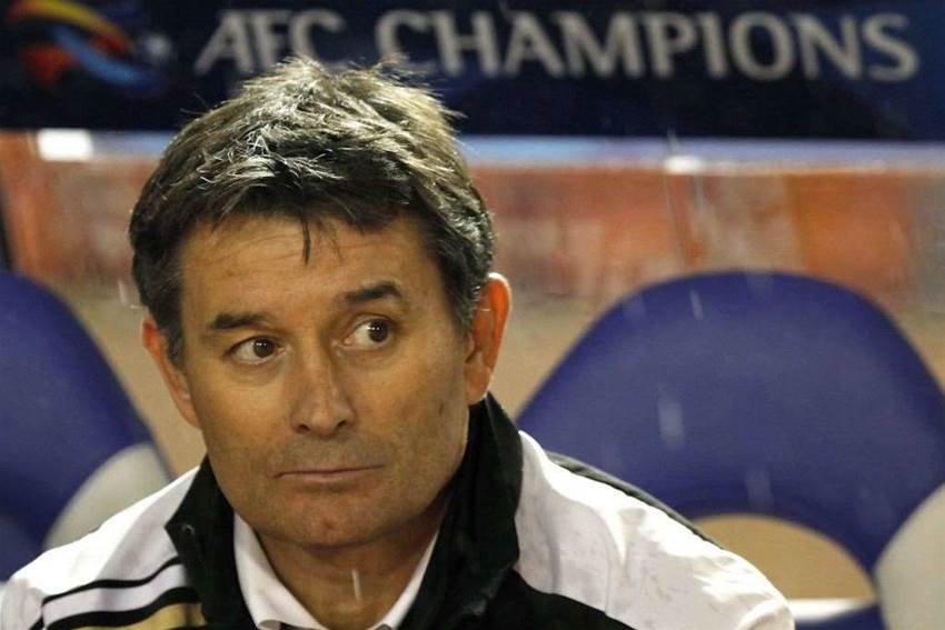 Rado Expecting Roar-Like Reds Rado Expecting Roar-Like Reds