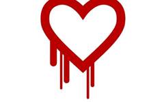 Heartbleed: don't change all your passwords