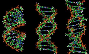 Google, AWS race to secure DNA analytics market