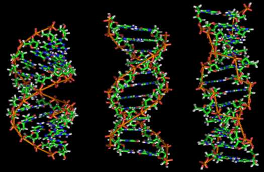 Google, AWS race to secure DNA analytics market