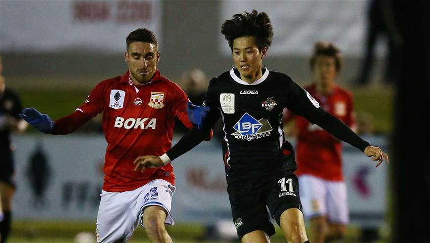 Choi to cause havoc for Sydney FC Choi to cause havoc for Sydney FC