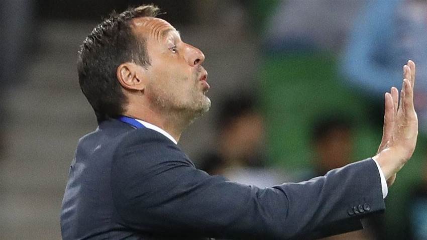 JVS: We want to stay aggressive JVS: We want to stay aggressive