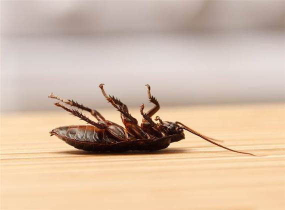 Android vulnerable to wi-fi bugs