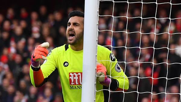 Federici's Forest move collapses