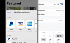 Braintree Direct adds Apple Pay and Android Pay support
