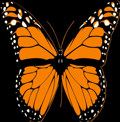 Butterfly botnet morph is bigger, badder than Mariposa