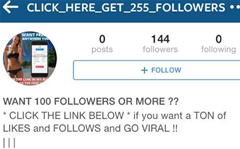 Instagram scam exploits social media vanity