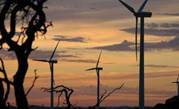 Amazon wind farm to power data centres