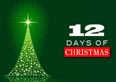 The Twelve Scams of Christmas