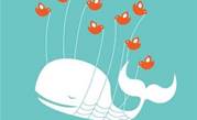 11,000 tweeters disclose email addresses in one day
