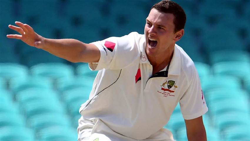 Aussies primed for victory in India Aussies primed for victory in India
