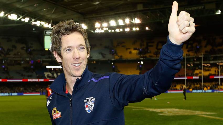 Bulldogs ripping in for injured Bob Bulldogs ripping in for injured Bob