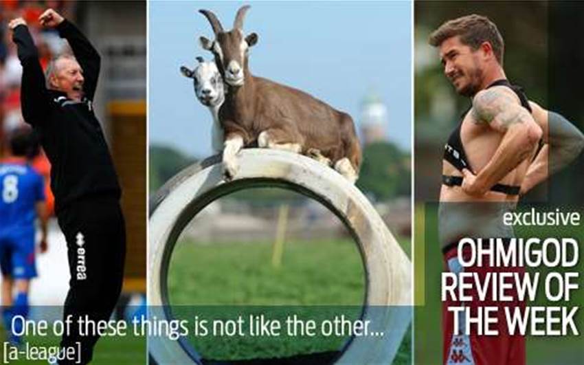 JayFC's ohmigod review of the week JayFC's ohmigod review of the week