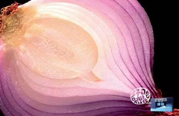 Close door on TOR or face liability for threats: researchers