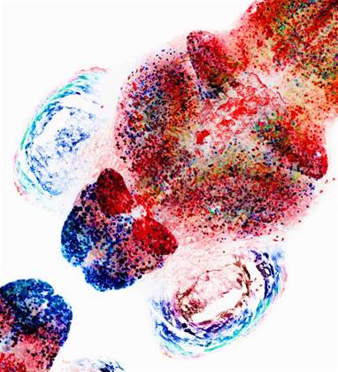 Inside the tech supporting the bleeding edge of neuroscience