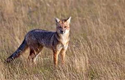 Mozilla: Firefox 4 will be our last big release