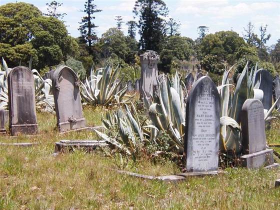 NBN Co targets the dead in Sydney fibre rollout