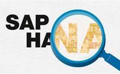 SAP CEO: HANA is the future