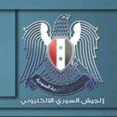 Syrian hackers hijack Guardian Twitter accounts