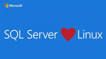 Microsoft ports SQL Server to Linux