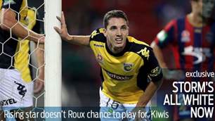 Storm could have been a Socceroux