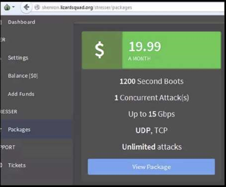 US cops charge teens over DDoS for hire services