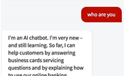 NAB switches on chatbot for business customers