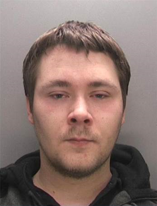 British hacker pleads guilty to stealing US military data