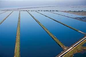 Melbourne Water sends drones into sewage