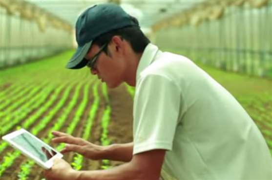 Why food could be the future of the internet of things