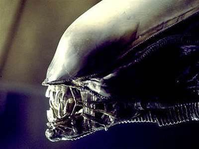 Xen warns of new Venom-like vulnerability