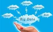 RSA says biz should move to Big Data amid govt stall
